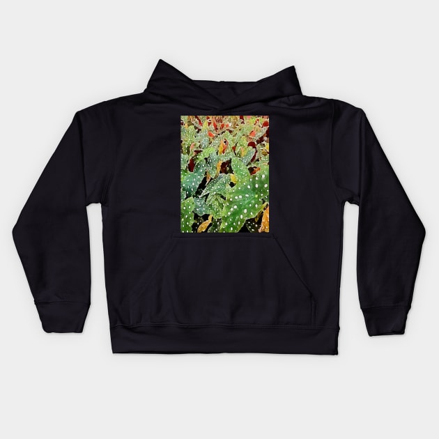 begonia plants Kids Hoodie by Banyu_Urip